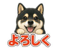 877551208