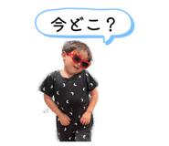 877553056