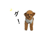 877553154
