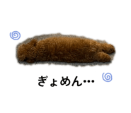 877553158