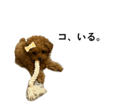877553161