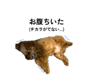 877553163