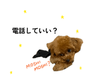 877553176