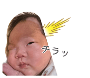 877553618
