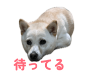 877574474