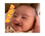 877602946