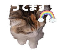 877605029
