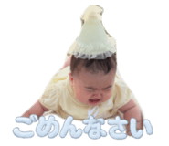 877605811