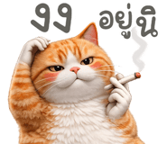 877629761