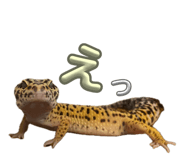 877666501