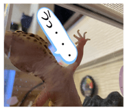 877666502