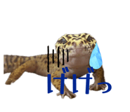 877666518