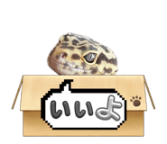877666524