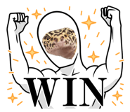 877666528