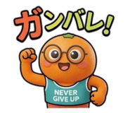 877677243