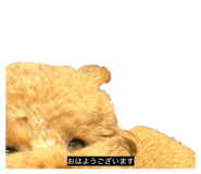 877678099