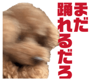 877678103