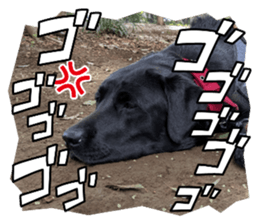 877732264