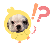 877749498