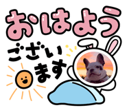 877749500