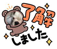 877749502