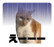 877765036