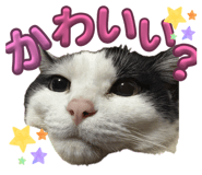 877770705