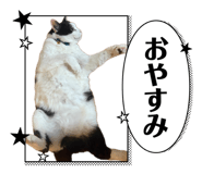 877770706