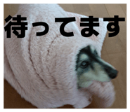 877780152
