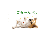 877781243