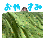 877783909