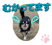 877784276