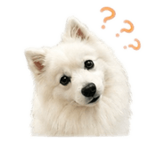 877784310