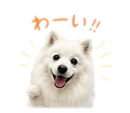 877784311
