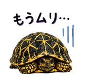 877786589