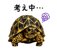 877786592