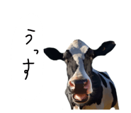 877802438