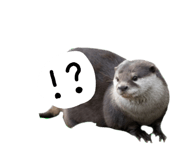 877802439