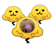877807967