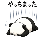 877812298