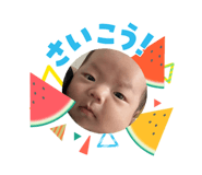 877816665