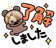877825694