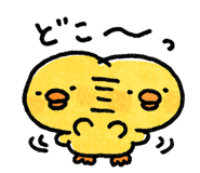 877833800