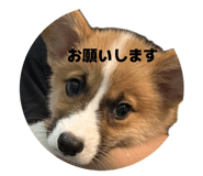 877837461