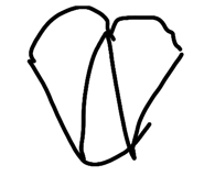877840100