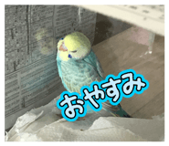 877840436