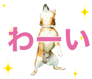 877842561