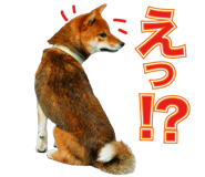 877842569