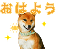 877842571