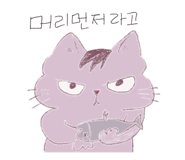877855916